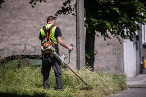 Ograniczamy do minimum koszenie trawników na terenie Gdańska...