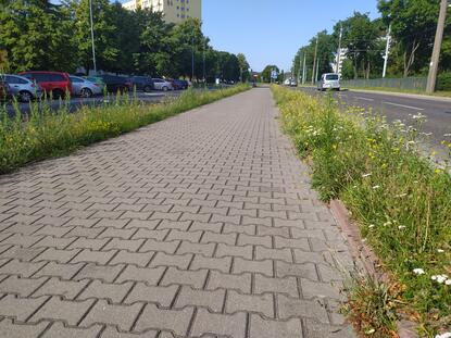 Zaczynamy drugi etap remontu drogi rowerowej na ul. Pomorskiej...