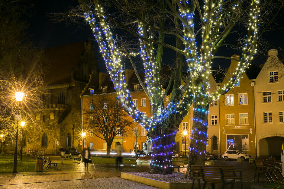 Nitki świetlne na drzewach na Placu Świętopełka