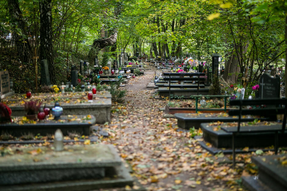 Aleja na Cmentarzu Centralnym Srebrzysko 