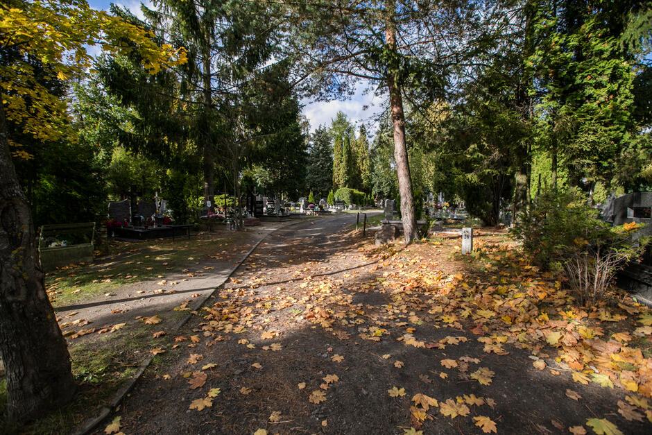 Zakaz wjazdu na Cmentarz Łostowicki i Centralny Srebrzysko  obowiązywać będzie od 29 października do 2 listopada