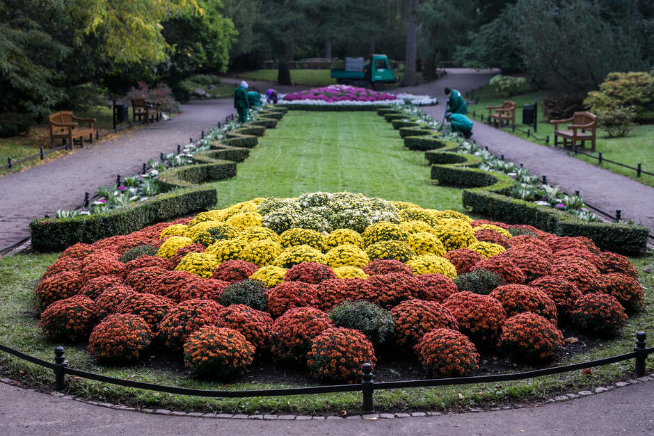 Roślinne dekoracje na gdańskich kwietnikach i w parkach zmieniają się w zależności od pory roku