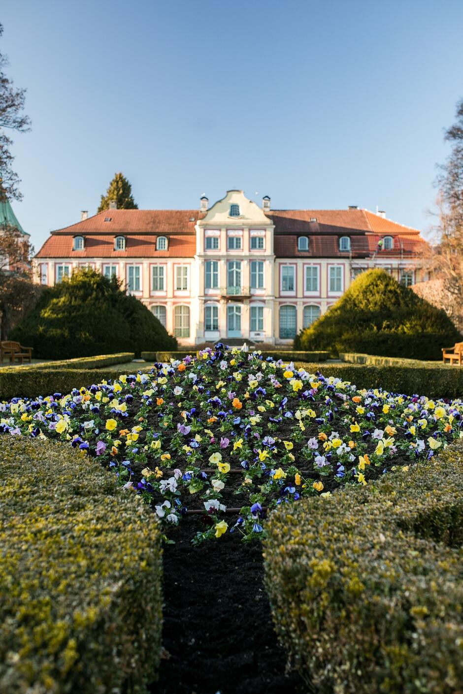 Wiosenne nasadzenia kwiatów przyozdobią rabaty w Parku Oliwskim