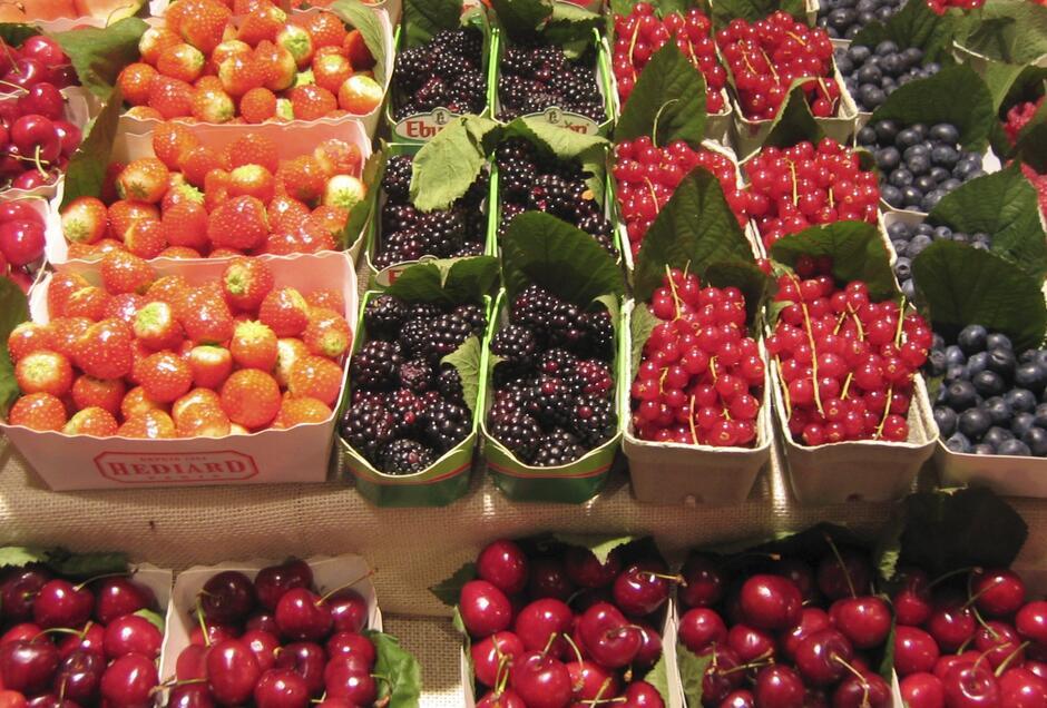 Konkurs na prowadzenie sezonowych punktów handlowych sprzedaży owoców i warzyw